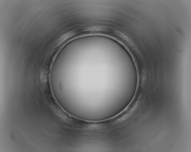 X0000114071017200910191517