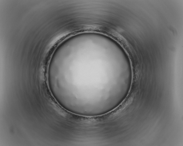 X0000114071019200910191517