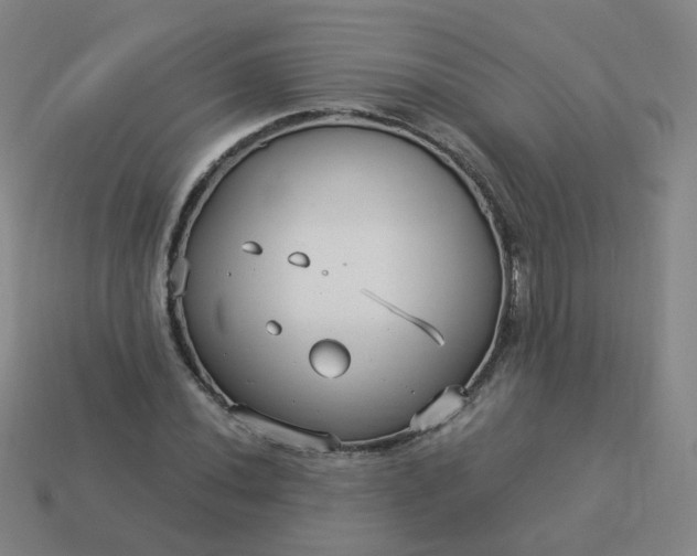 X0000114071020200910191517