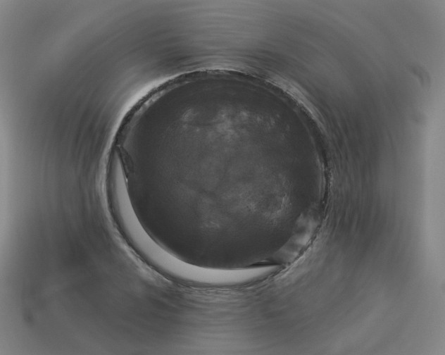 X0000114071024200910191517