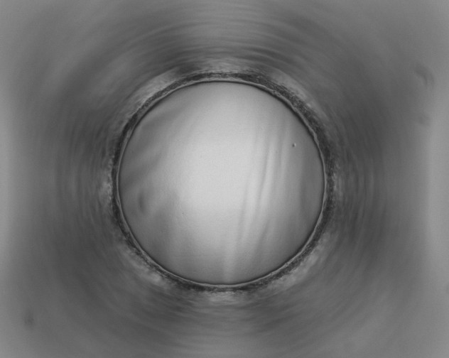 X0000114071025200910191517