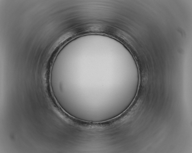 X0000114071026200910191517