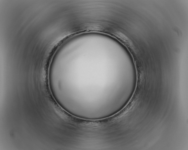 X0000114071027200910191518