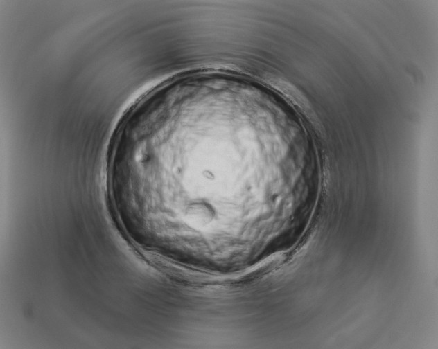 X0000114071028200910191518