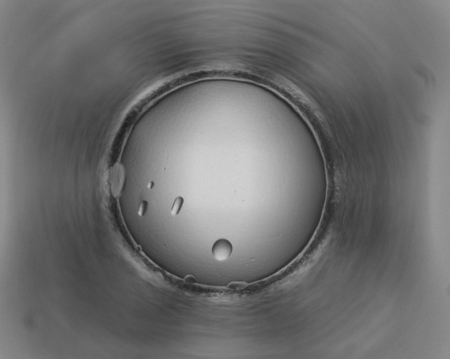 X0000114071029200910191518