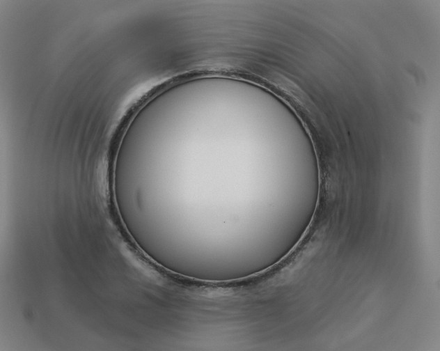 X0000114071030200910191518