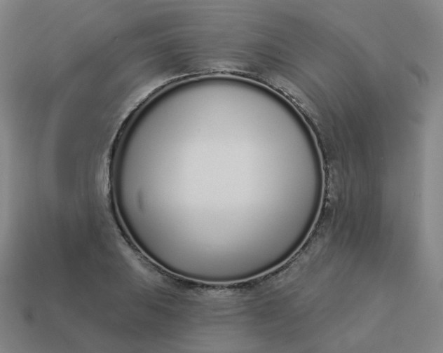 X0000114071031200910191518