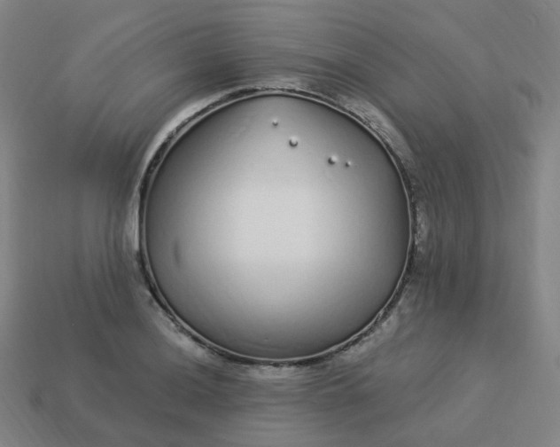 X0000114071036200910191518