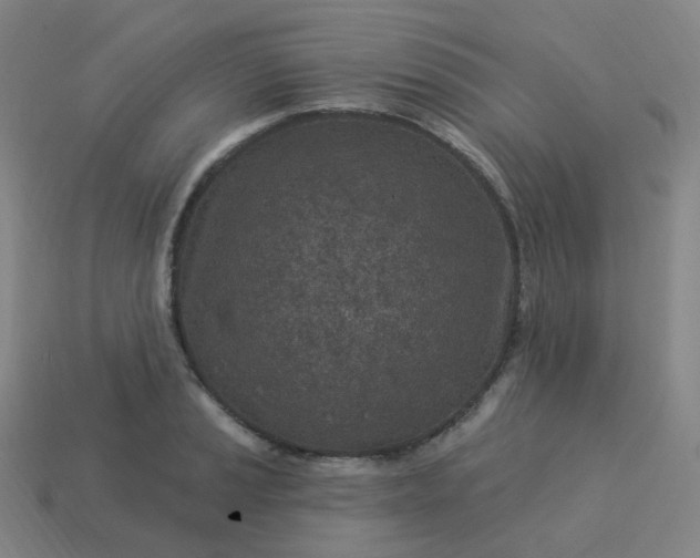 X0000114071037200910191518