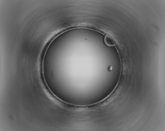 X0000114071038200910191518