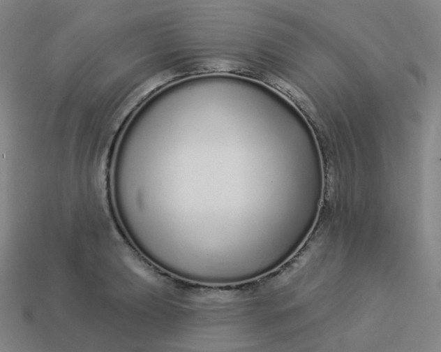 X0000114071039200910191518