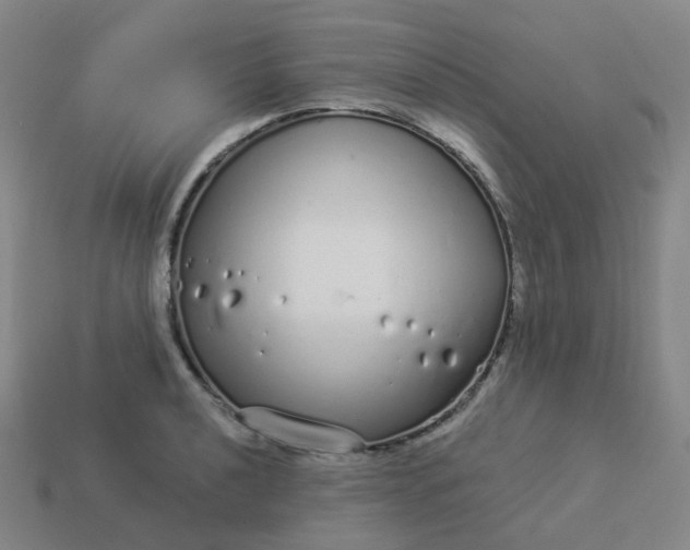 X0000114071040200910191518