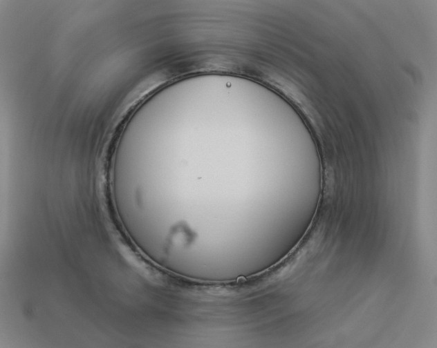 X0000114071042200910191518