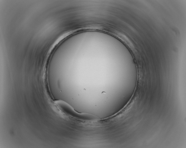 X0000114071044200910191518