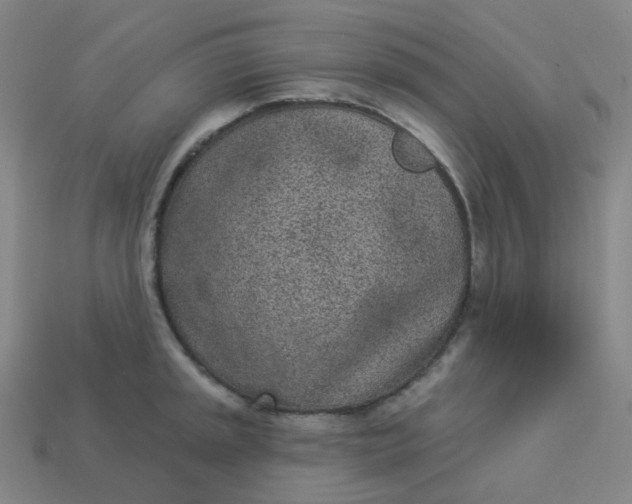 X0000114071045200910191518