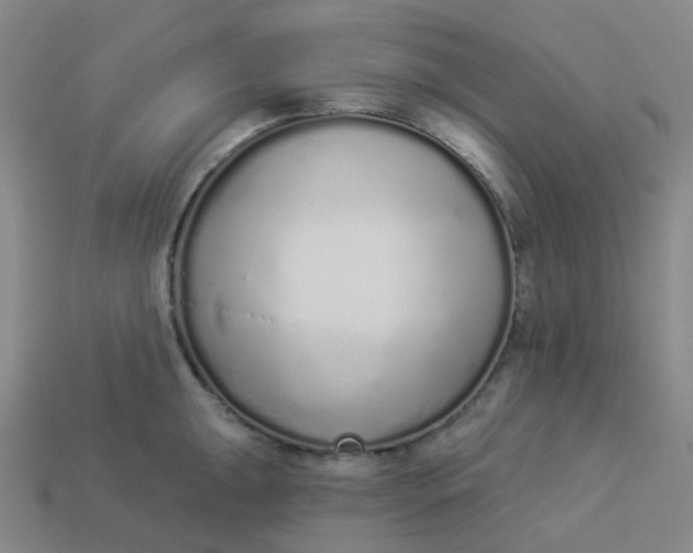 X0000114071047200910191518