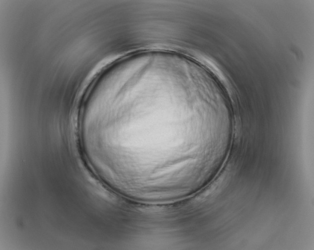 X0000114071048200910191518