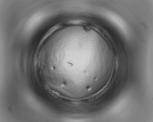 X0000114071052200910191518