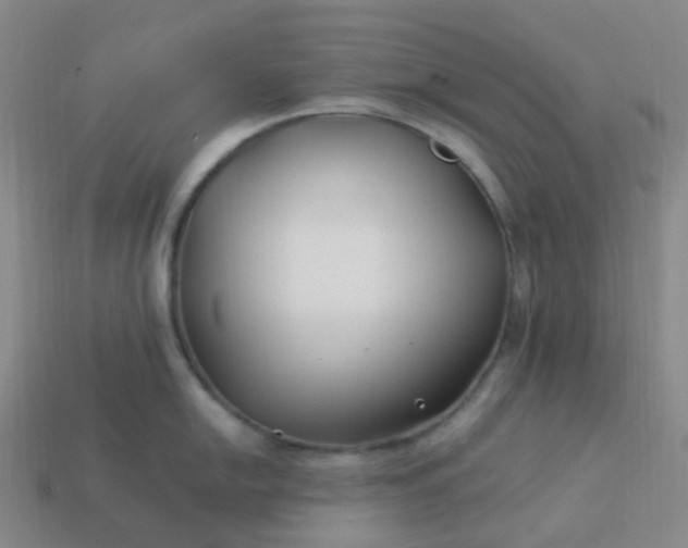 X0000114071054200910191518