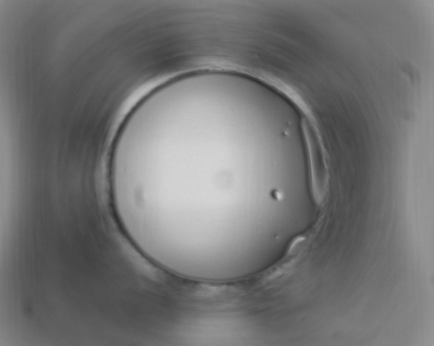 X0000114071056200910191518