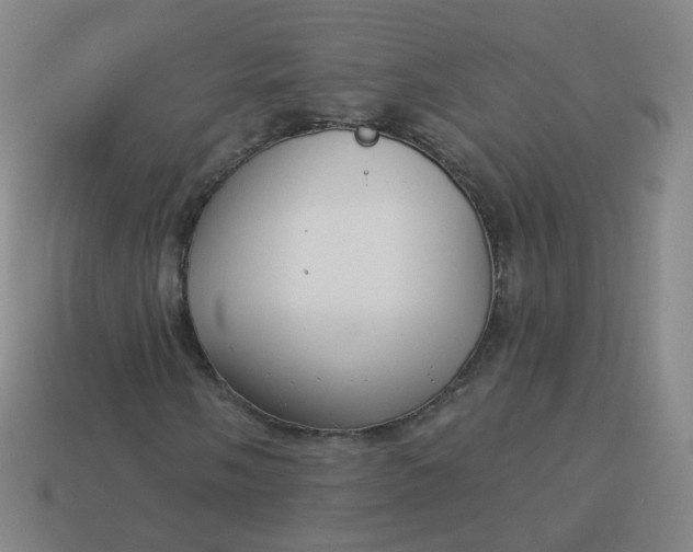 X0000114071058200910191517