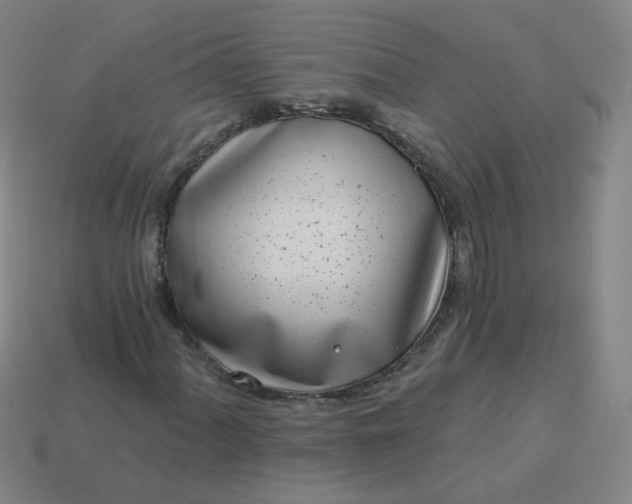 X0000114071060200910191517