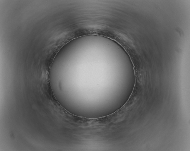 X0000114071061200910191517