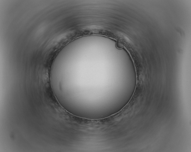 X0000114071062200910191517