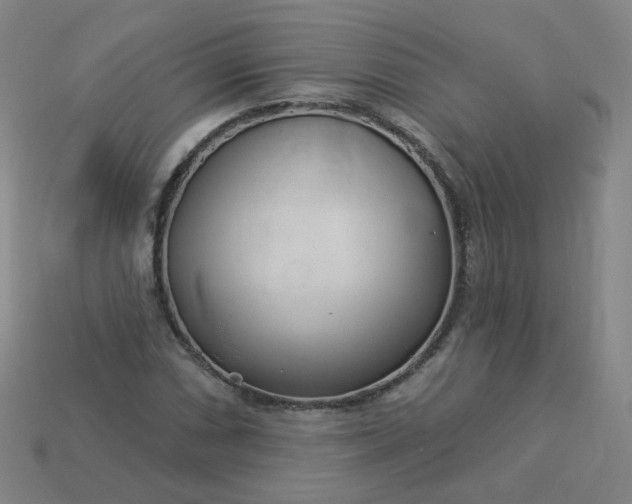 X0000114071066200910191517