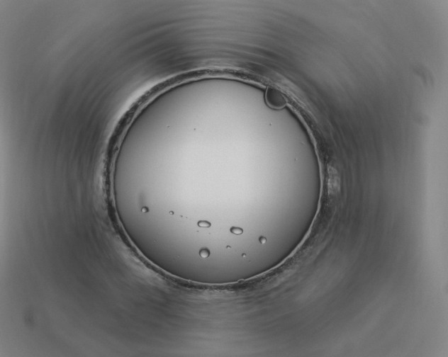 X0000114071068200910191517