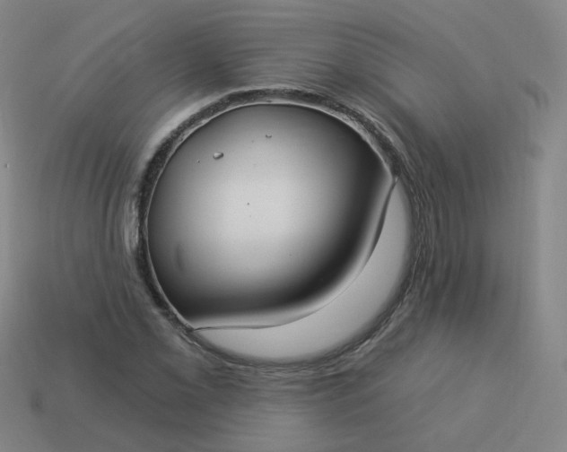 X0000114071069200910191517