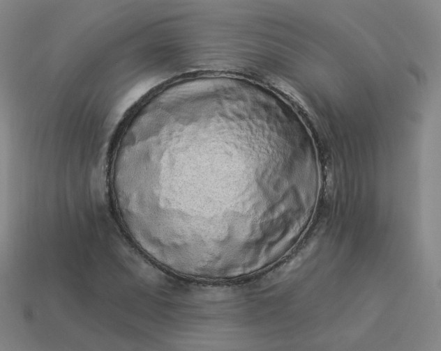 X0000114071071200910191517