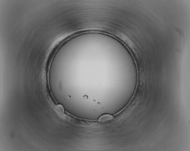 X0000114071072200910191517