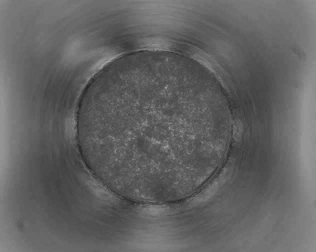 X0000114071074200910191517