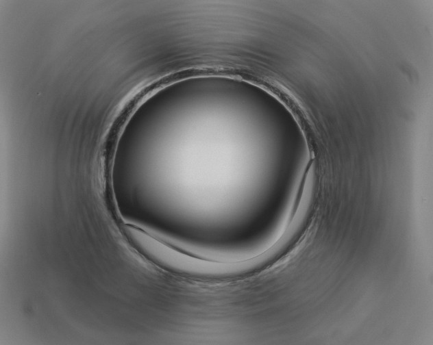 X0000114071075200910191517