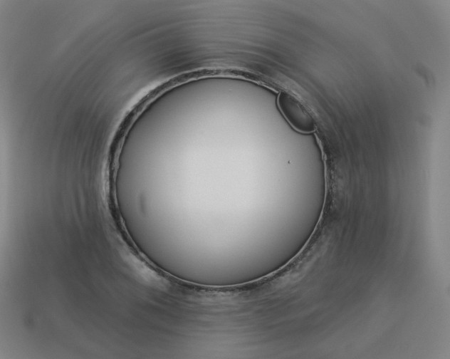 X0000114071076200910191517