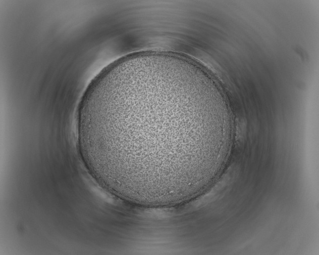 X0000114071078200910191517