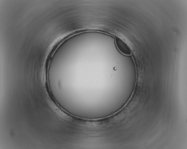 X0000114071080200910191517