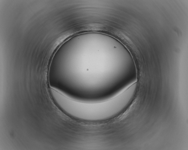 X0000114071081200910191517