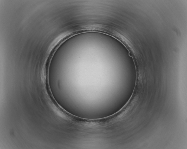 X0000114071082200910191517