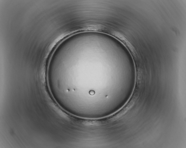 X0000114071083200910191517