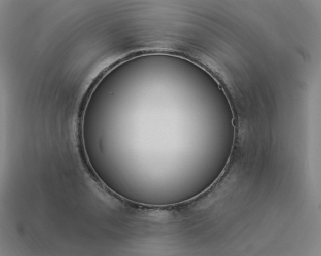 X0000114071085200910191517