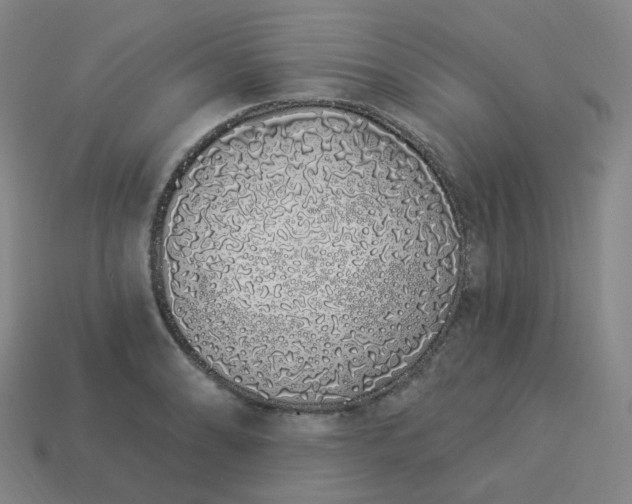 X0000114071086200910191517