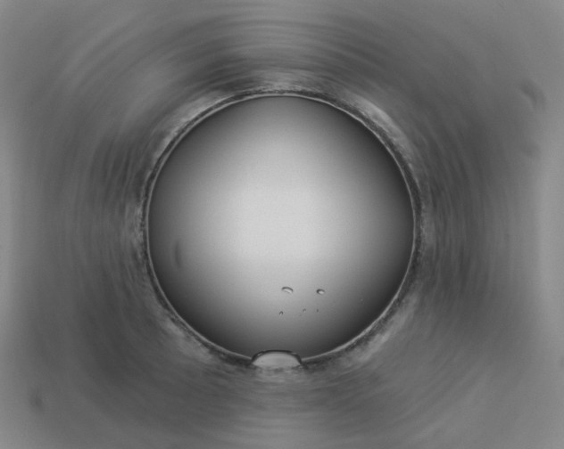 X0000114071089200910191517