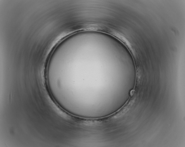 X0000114071091200910191517