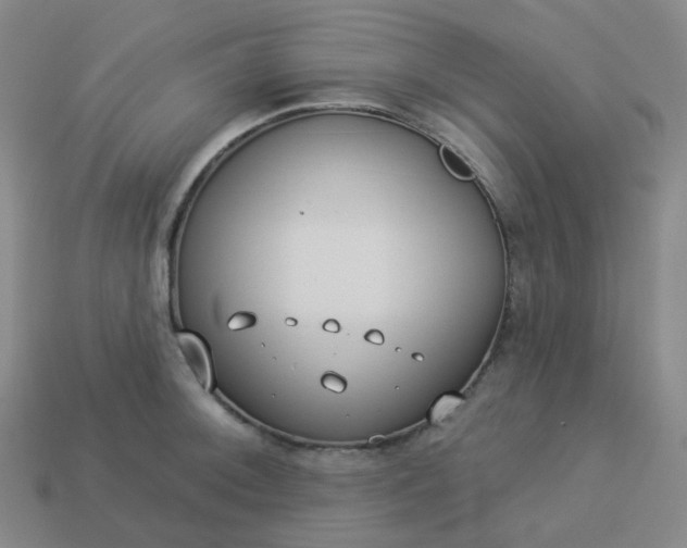 X0000114071092200910191517