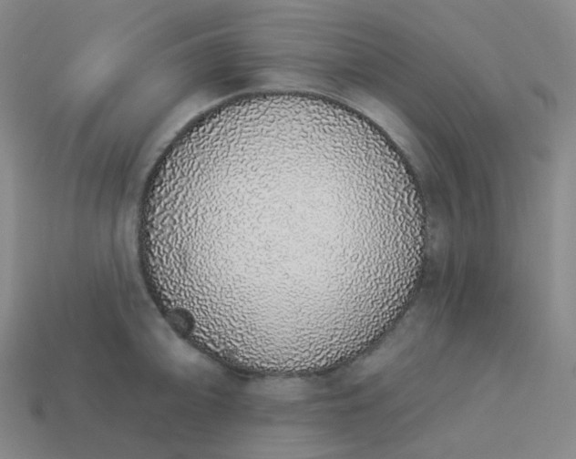 X0000114071094200910191517