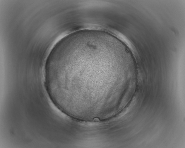 X0000114071095200910191517