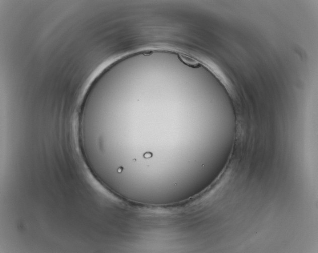 X0000114071100200910191517