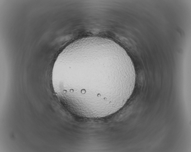 X0000114071105200910191516